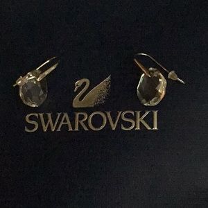 Swarovski Ice Earrings
